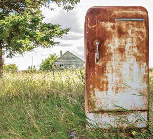 Need Another Refrigerator?